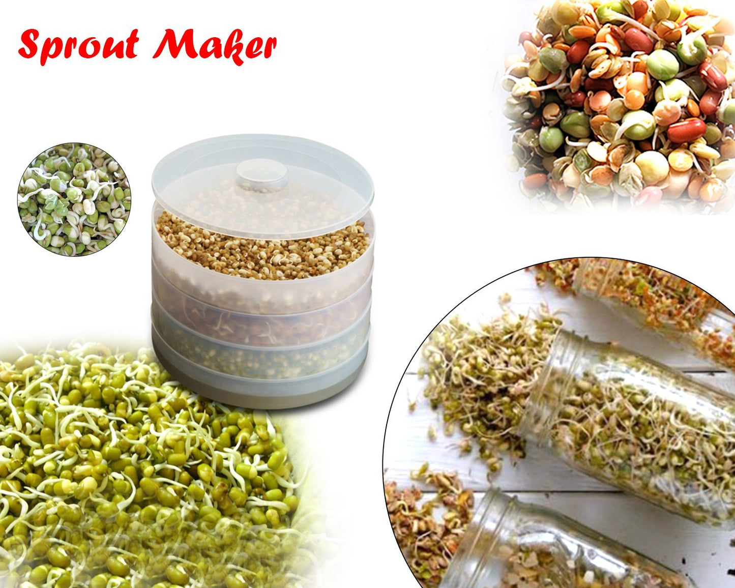 Plastic 4 Compartment Sprout Maker White - LootFaat