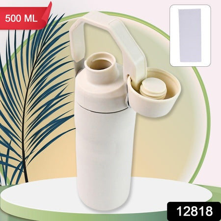Insulated Stainless Steel Water Bottle (500 Ml) - LootFaat