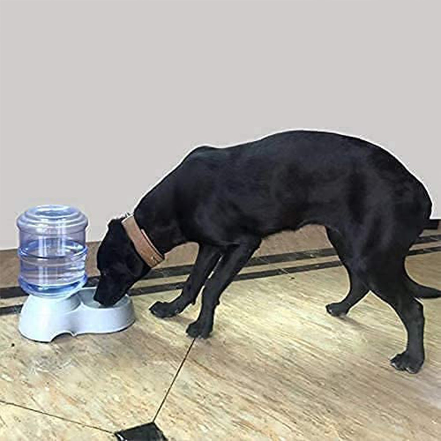 Automatic Pet Water Dispenser Self-dispensing Gravity Pet Feeder Water Cat Dog Feeding Bowl Drinking Water - LootFaat
