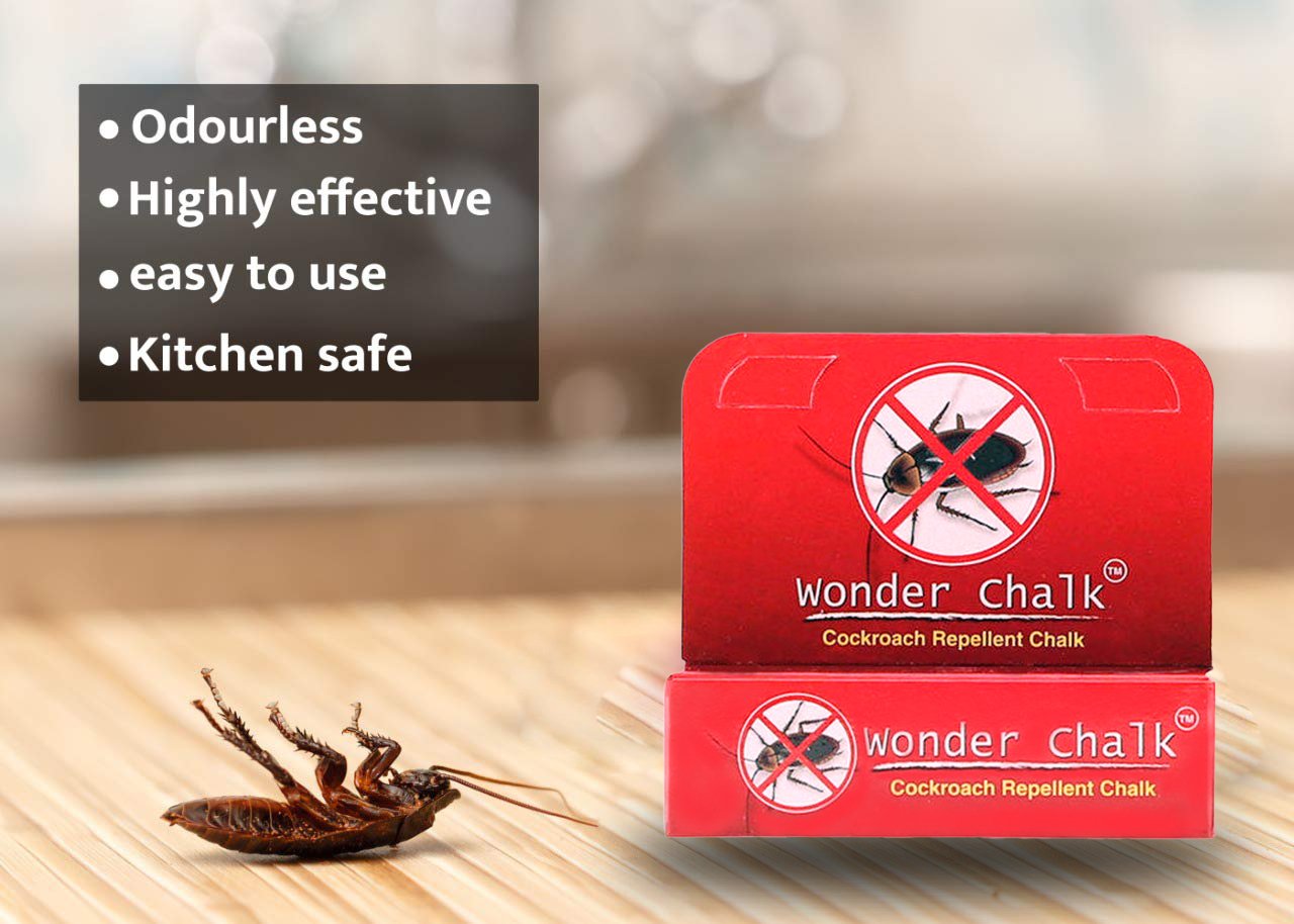 Cockroaches Repellent Chalk Keep Cockroach Away (Pack Of 12) - LootFaat