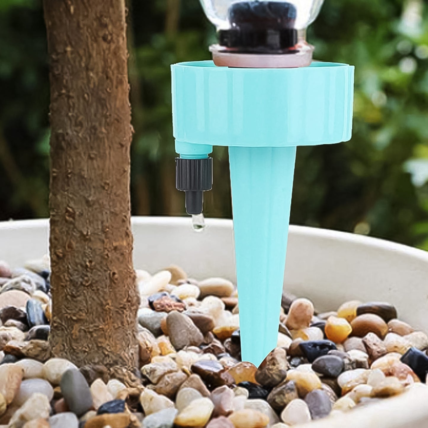 Auto Plant Watering Devices (1 Pc Mix Color) - LootFaat