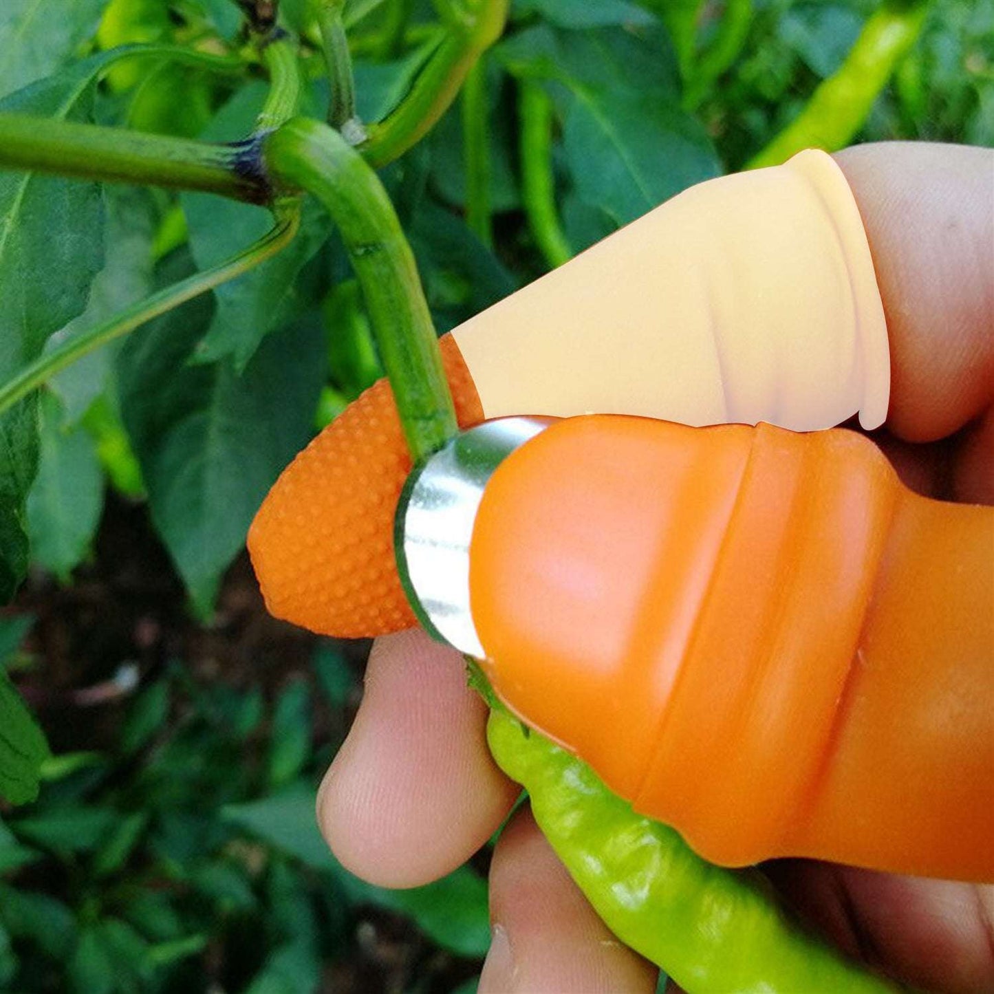 Vegetable Thumb Cutter And Tool 5pc Set With Effective Sharp Cutting Blade System - LootFaat