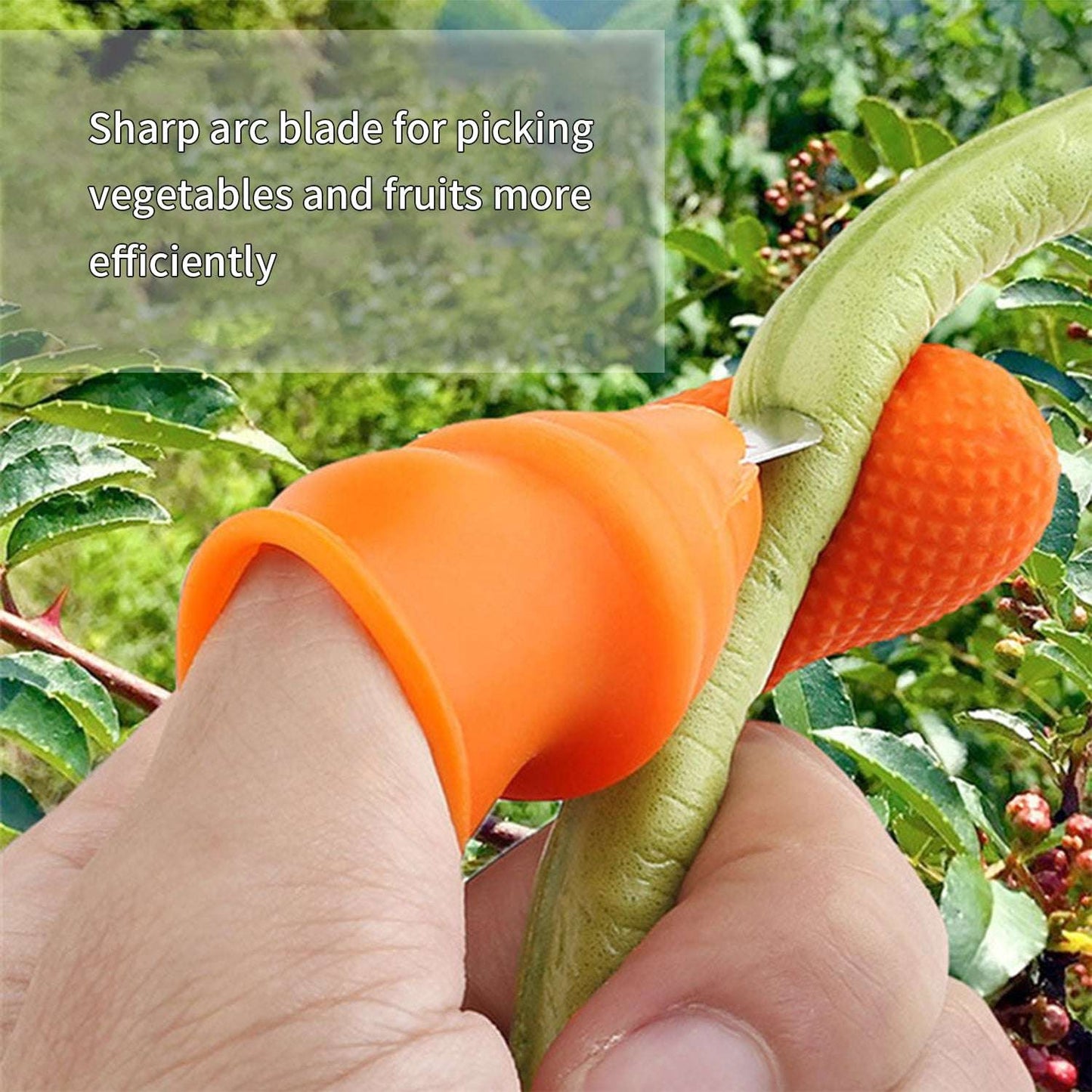 Vegetable Thumb Cutter And Tool 5pc Set With Effective Sharp Cutting Blade System - LootFaat