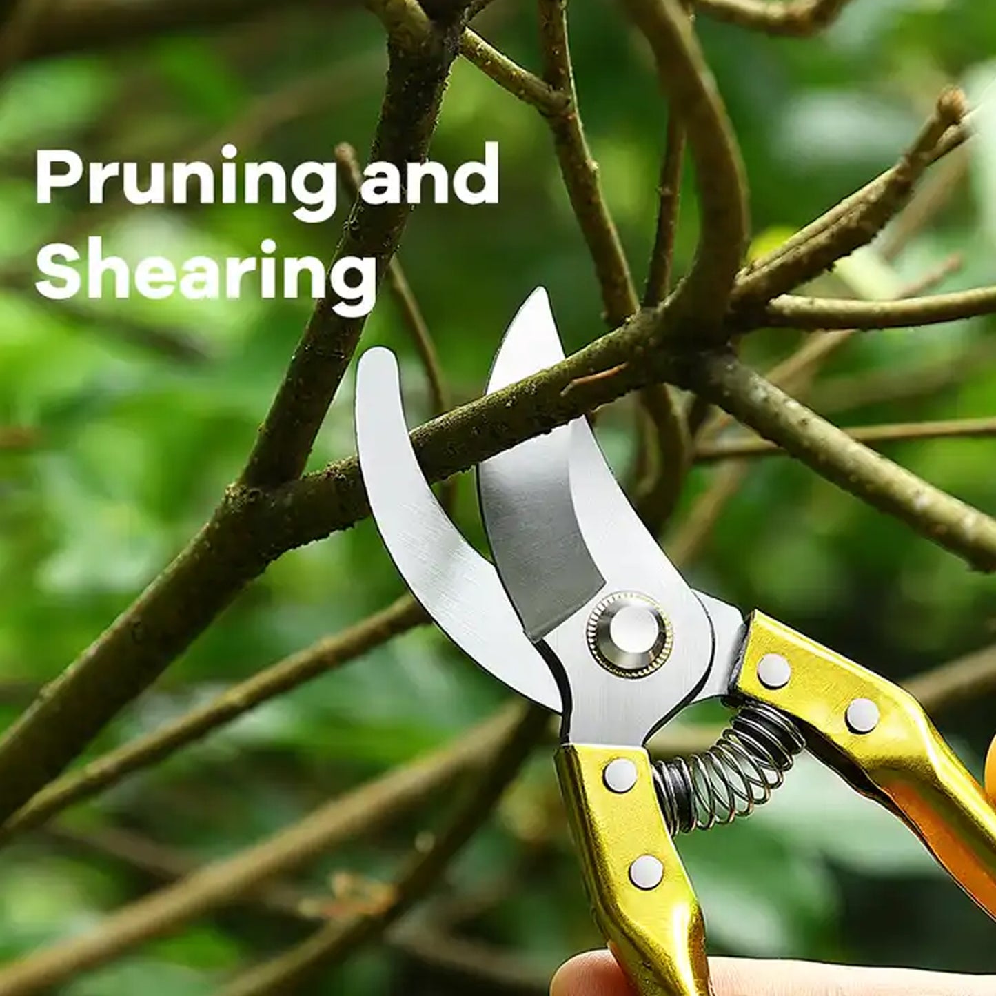 Gardening Tools - Garden Shears Pruners Scissor (1 Pc) - LootFaat
