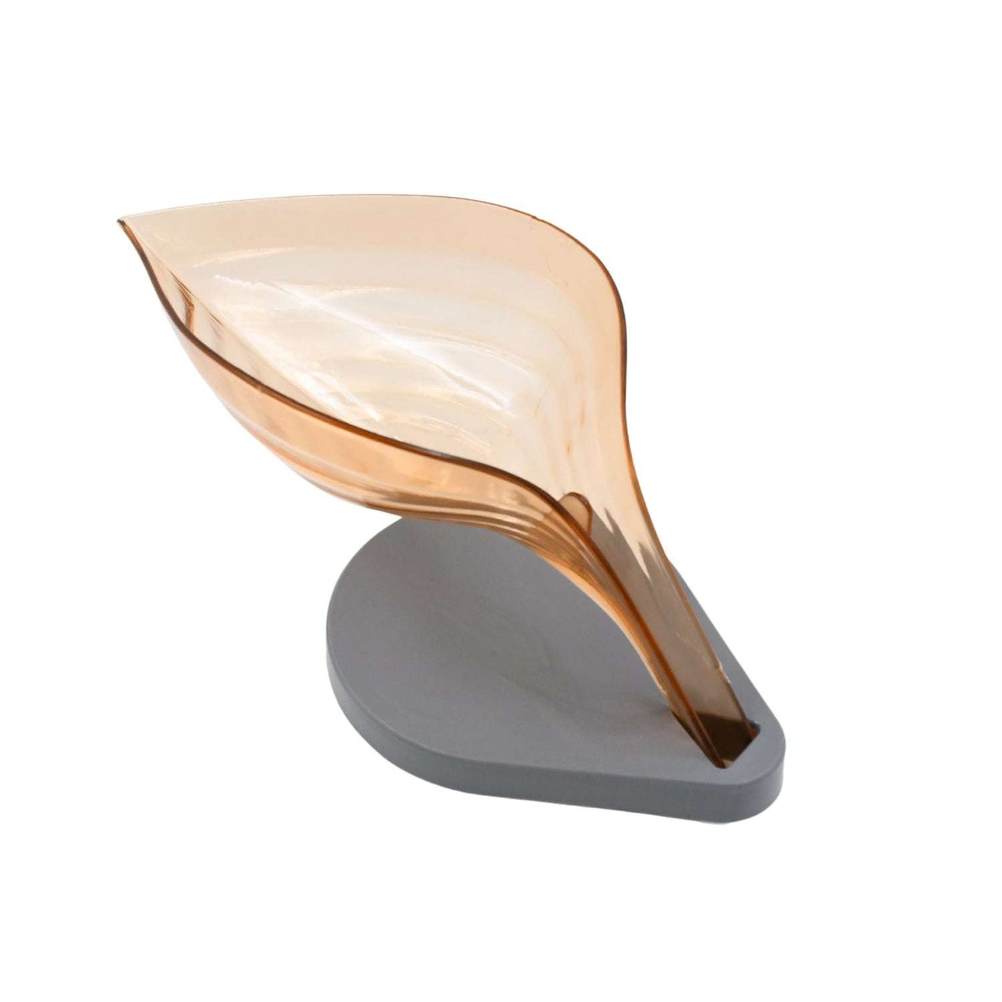 Plasticleaf Shape Soap Box Soap Holder (1 Pc With Color Box) - LootFaat