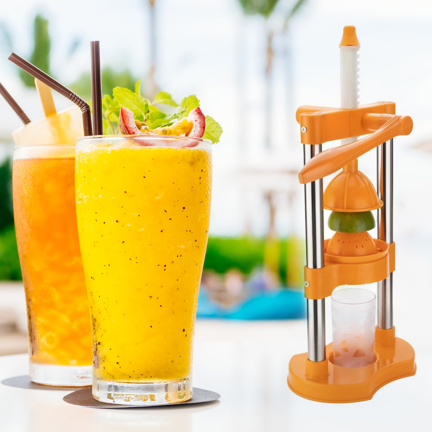 Manual Hand Press Juicer - Cold Press Fruit & Vegetable Juice Extractor