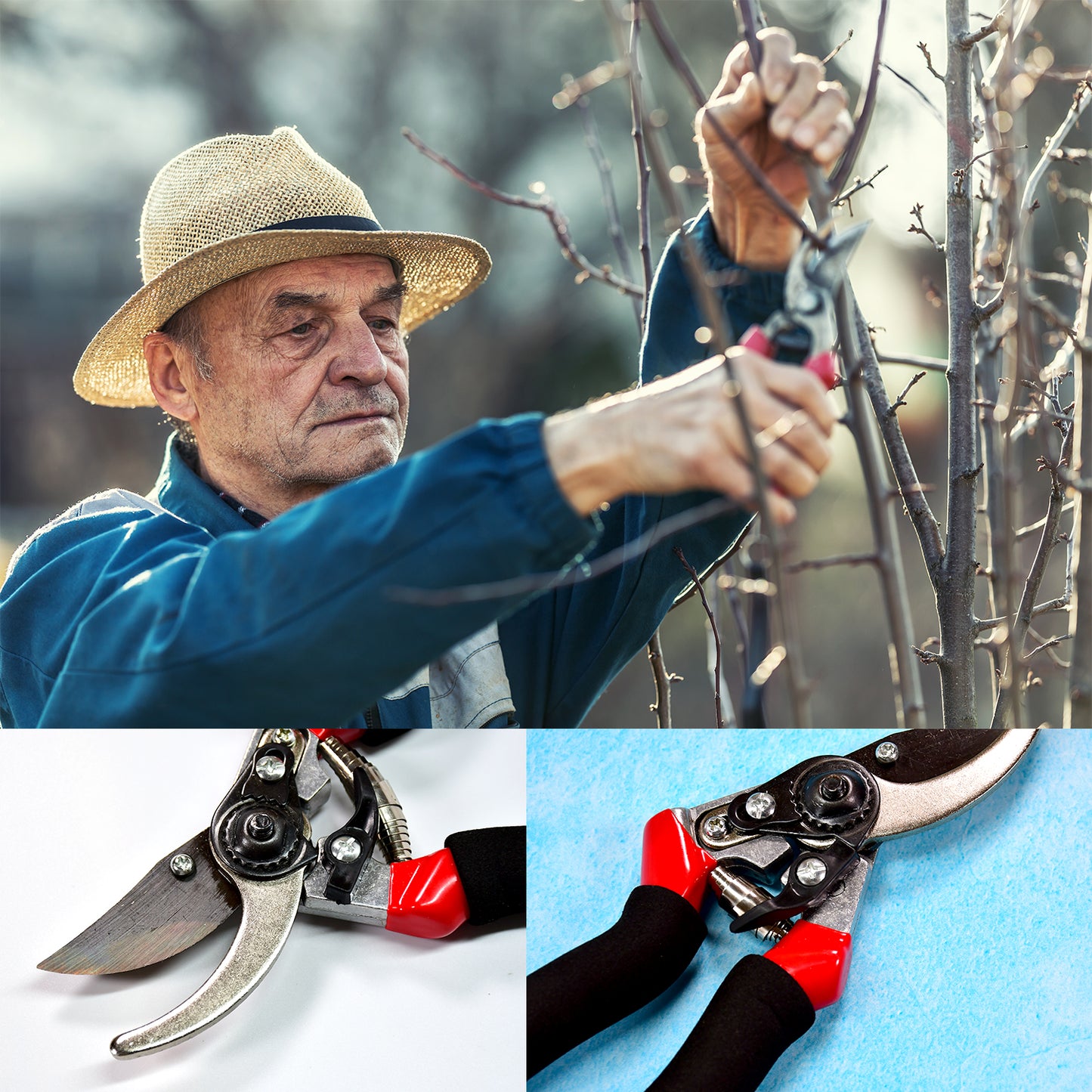 21cm Red Garden Shears Sharp Cutter Pruners Scissor Pruner. - LootFaat