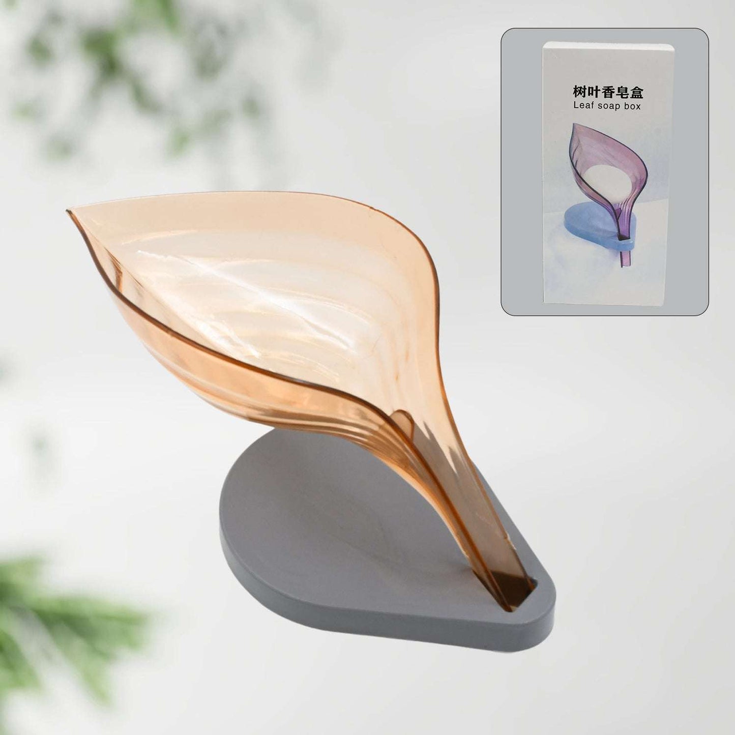 Plasticleaf Shape Soap Box Soap Holder (1 Pc With Color Box) - LootFaat