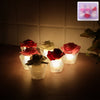Portable LED Rose Flower Decorative Home - Premium Quality - Best Quality & Value