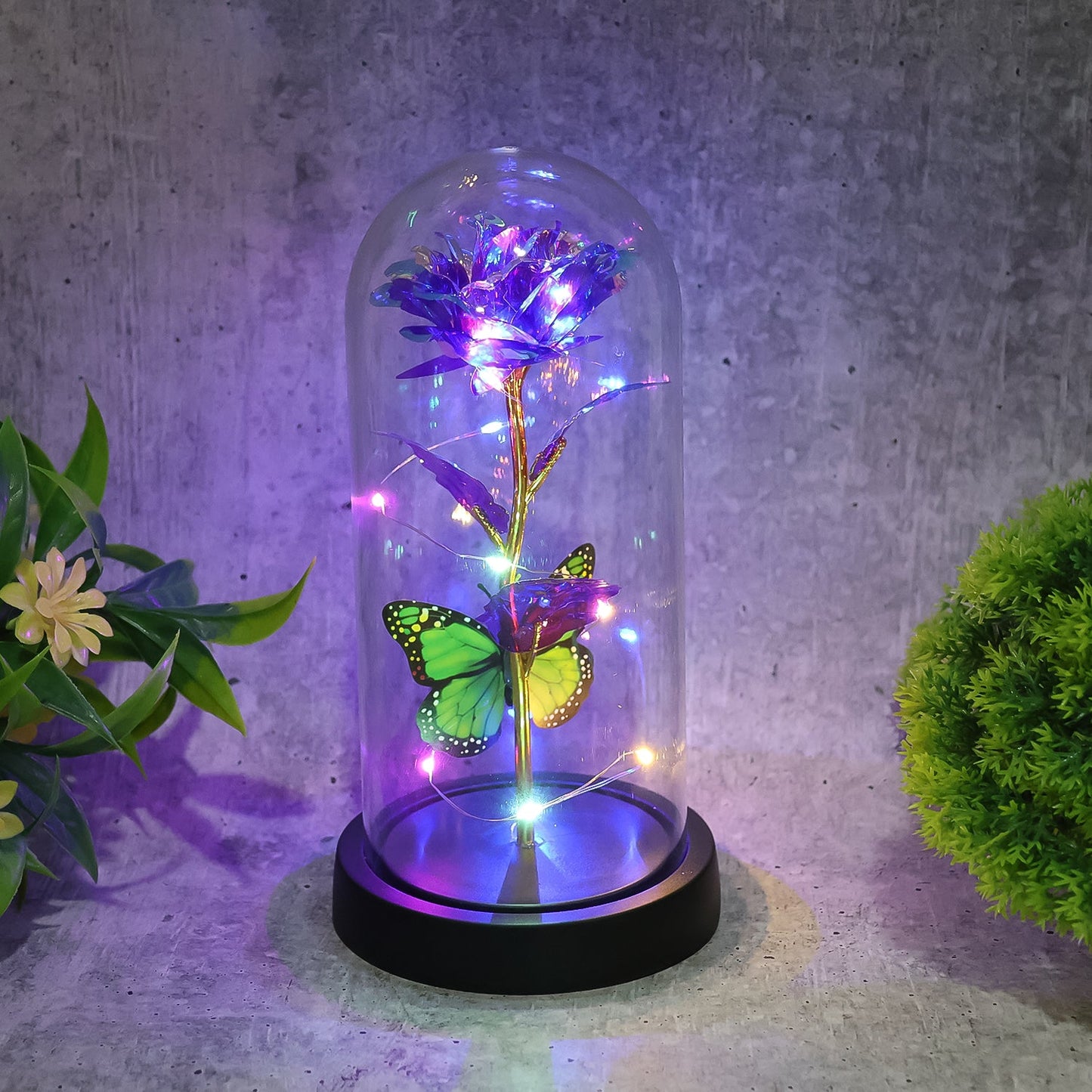 Charm Aura Butterfly Rose Gift