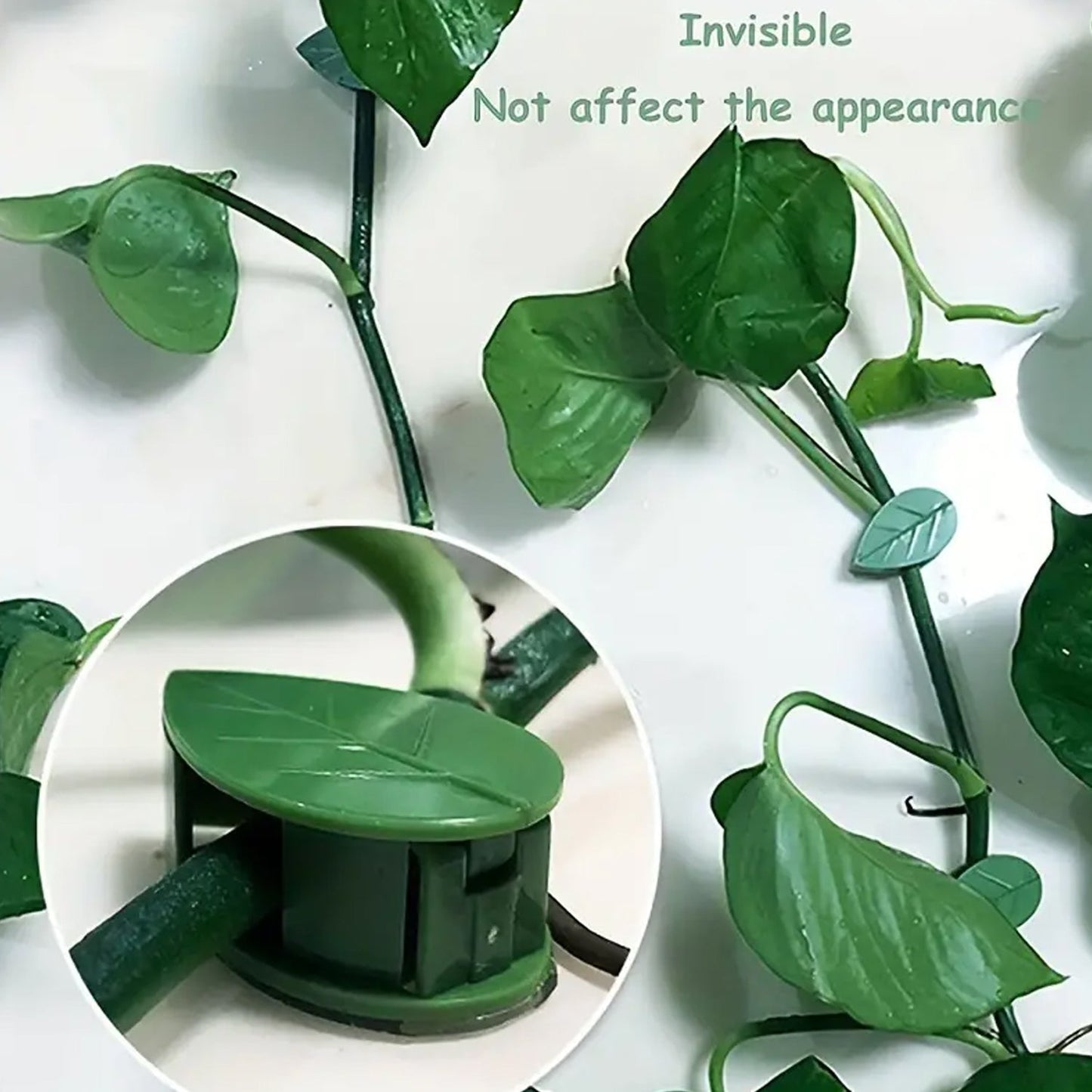 Premium Plant Climbing Wall Clip,Self Garden - Premium Quality - Best Quality & Value