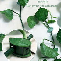 Premium Plant Climbing Wall Clip,Self Garden - Premium Quality - Best Quality & Value