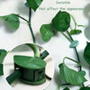 Premium Plant Climbing Wall Fixture Garden - Premium Quality - Best Quality & Value