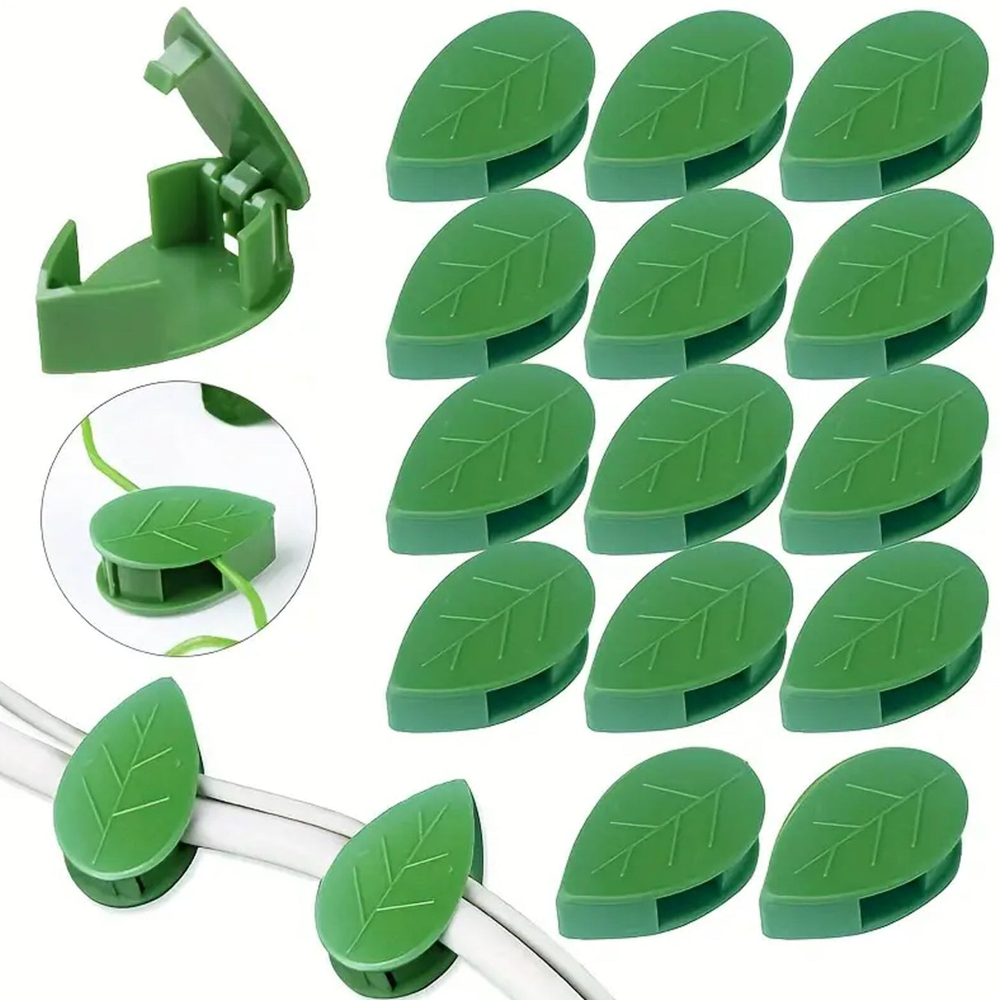 Premium Plant Climbing Wall Fixture Garden - Premium Quality - Best Quality & Value
