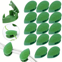 Premium Plant Climbing Wall Fixture Garden - Premium Quality - Best Quality & Value