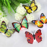 The Butterfly 3D Night Lamp Comes with 3D Illusion Design (1 Pc / Loose)