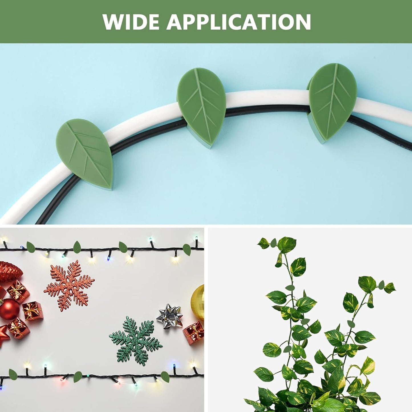 Premium Plant Climbing Wall Fixture Garden - Premium Quality - Best Quality & Value