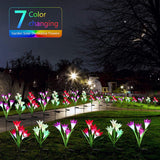 Lily flower solar lights, illuminated in garden during night