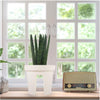 Bling Decor Riding Pot - Creative Balcony Flower Pot Holder