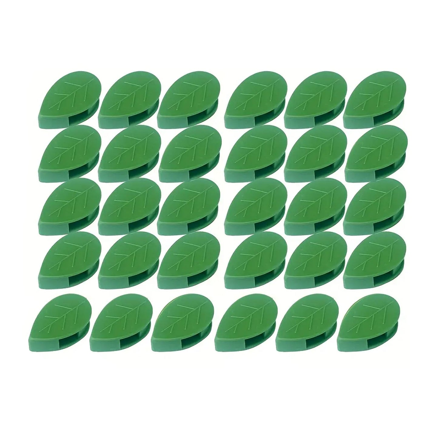 Premium Plant Climbing Wall Fixture Garden - Premium Quality - Best Quality & Value