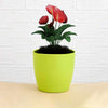 Compact Flower Pots Round Shape Garden - Premium Quality - Best Quality & Value