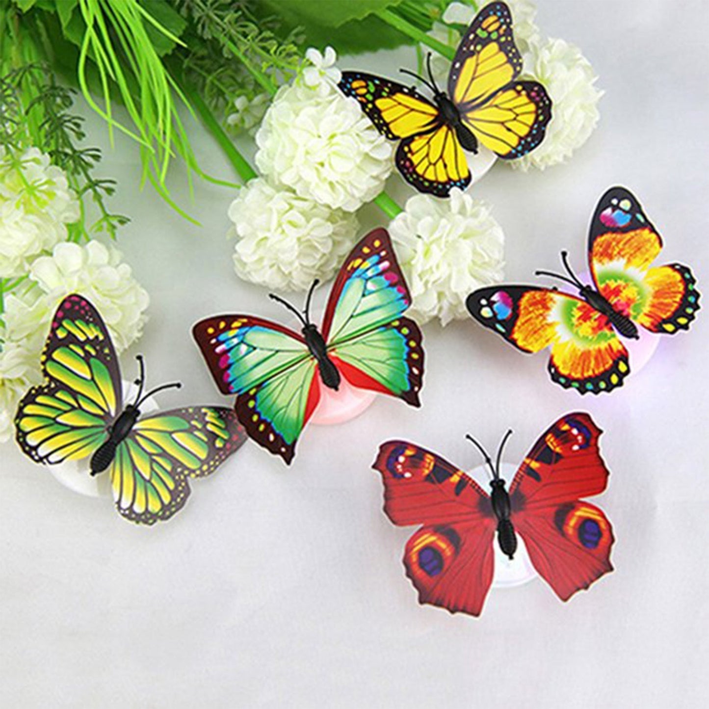 Premium The Butterfly 3D Night Home - Energy Saving - Best Quality & Value