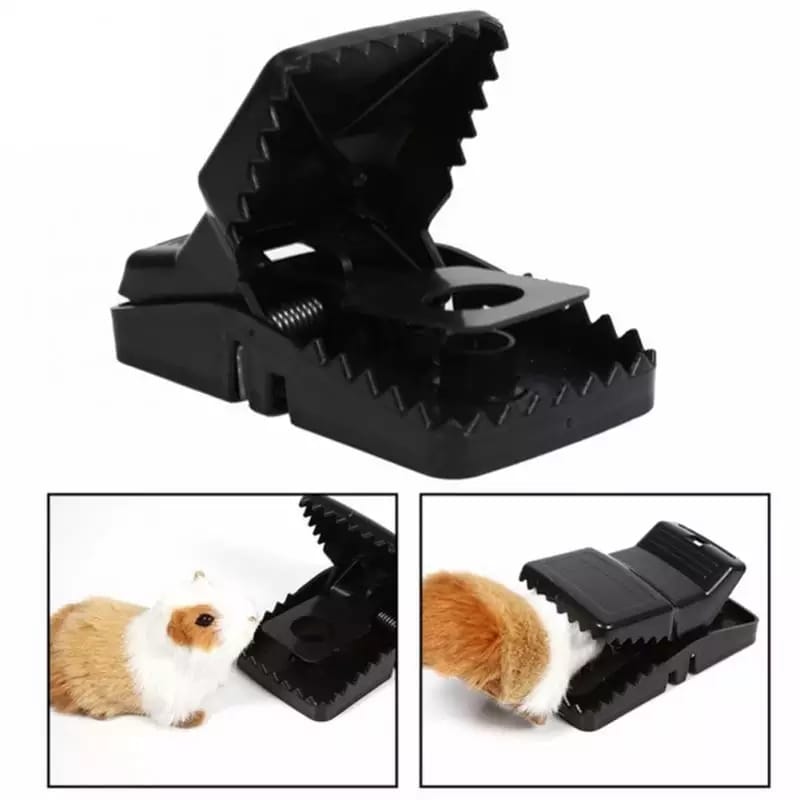 Premium Mouse Trap Cage with Dummy Mouse Home - Rust Resistant - Best Quality & Value