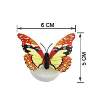 Premium The Butterfly 3D Night Home - Energy Saving - Best Quality & Value