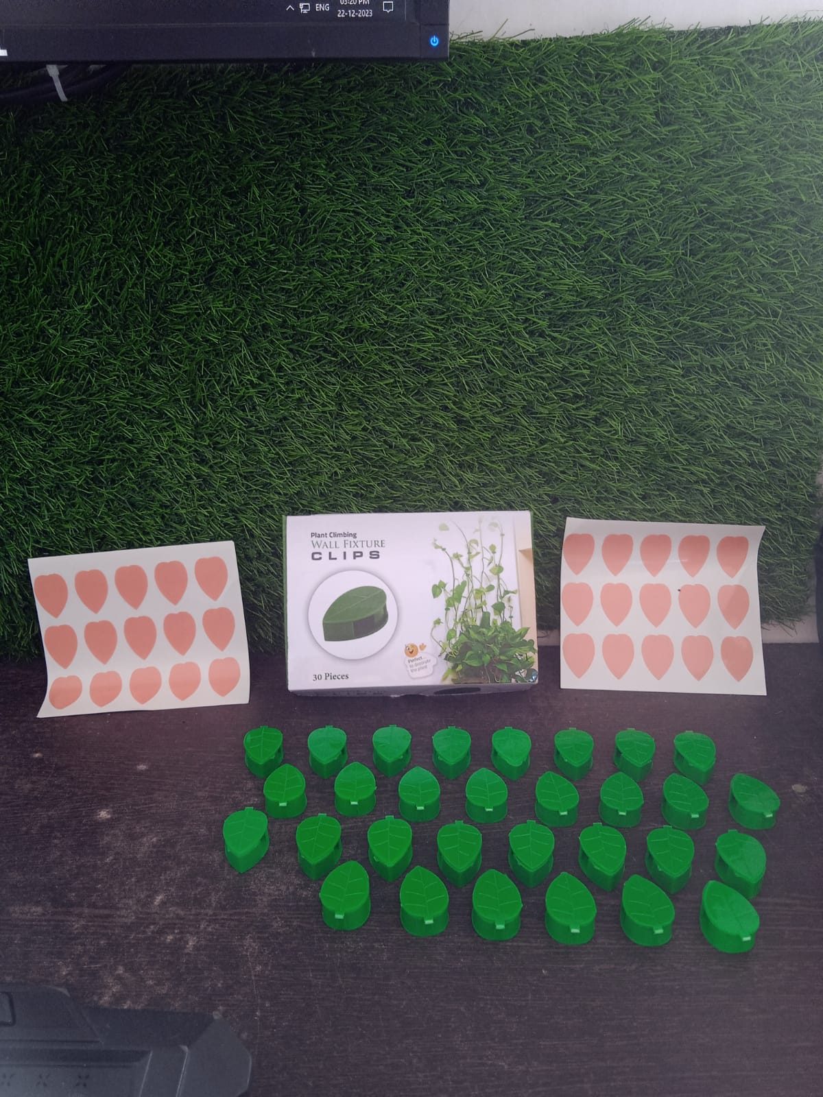Premium Plant Climbing Wall Fixture Garden - Premium Quality - Best Quality & Value