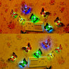Premium The Butterfly 3D Night Home - Energy Saving - Best Quality & Value