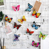Premium The Butterfly 3D Night Home - Energy Saving - Best Quality & Value
