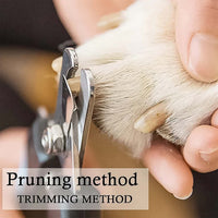 Professional Pet Nail Clipper and File (2 Pc Set)