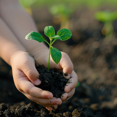 Organic Vermicompost Black Soil For Plants Health Manure (1 Kg Approx) - second image