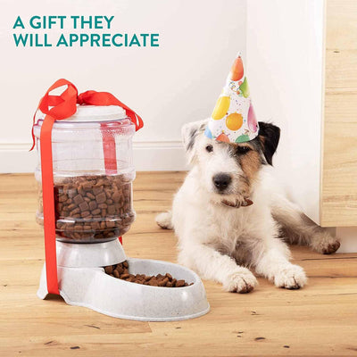 Pet Feeder Food Dispenser - Replenish Pet Food For Dog Cat Animal Automatic Gravity Dry Food Storage Bottle - second image