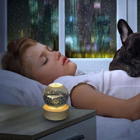 3D Crystal Ball Fish Lamp - Night Light with Wooden Base