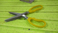 Multifunction Vegetable Stainless Steel Herbs Scissor With 5 Blades (1 Pc) - LootFaat