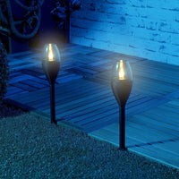 Solar Pathway Lights - Waterproof LED Garden Lights