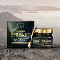 Og Wellness Pure Himalayan Shilajit Resin (20 Gm  1 Pc)