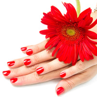 Stainless Steel Folding Portable Large Nail Clippers With Nail File (1 Pc)