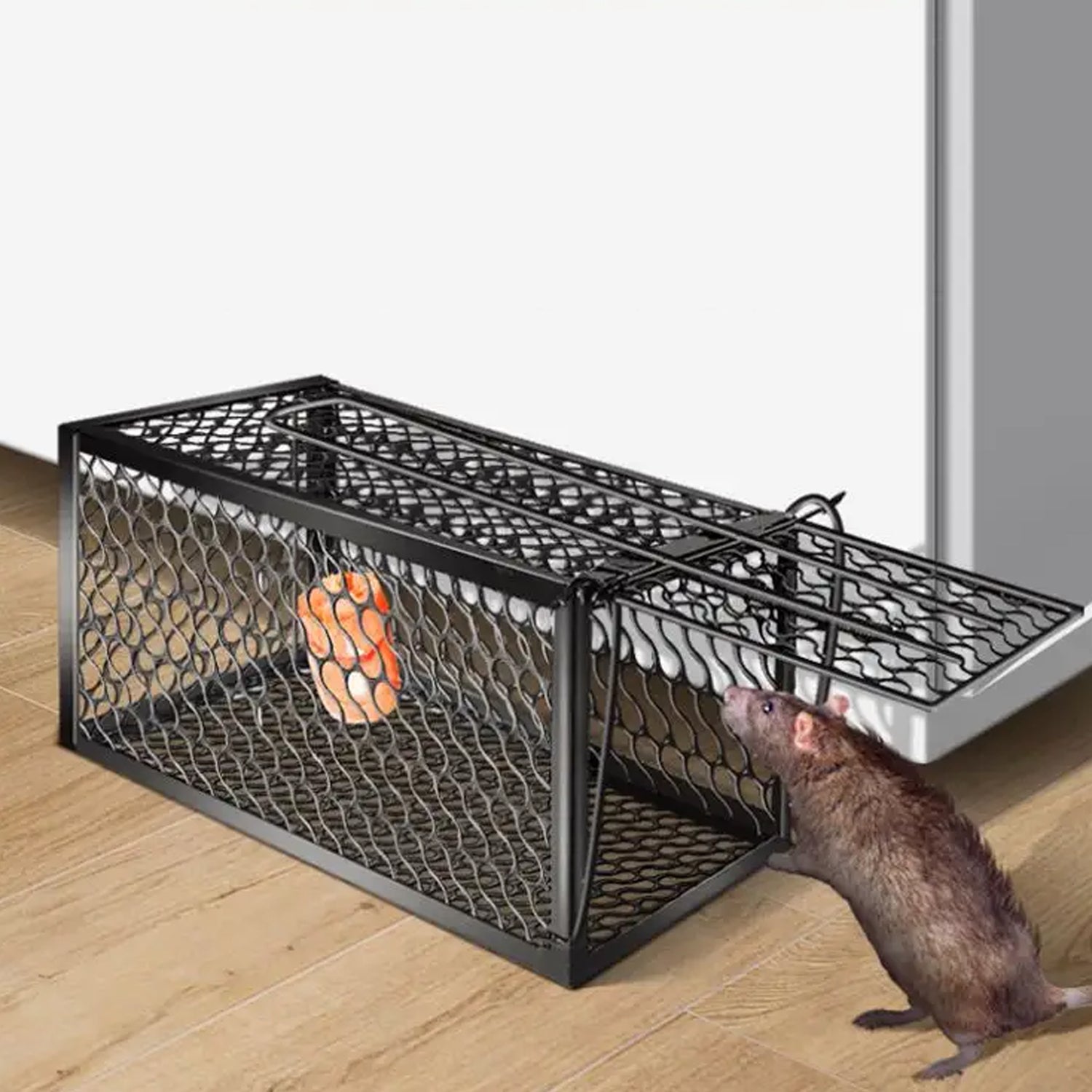 Foldable Mouse Trap Squirrel Trap Small Live Animal Trap Mouse Voles Hamsters Live Cage Rat Mouse Cage Trap For Mice Easy To Catch And Release - LootFaat