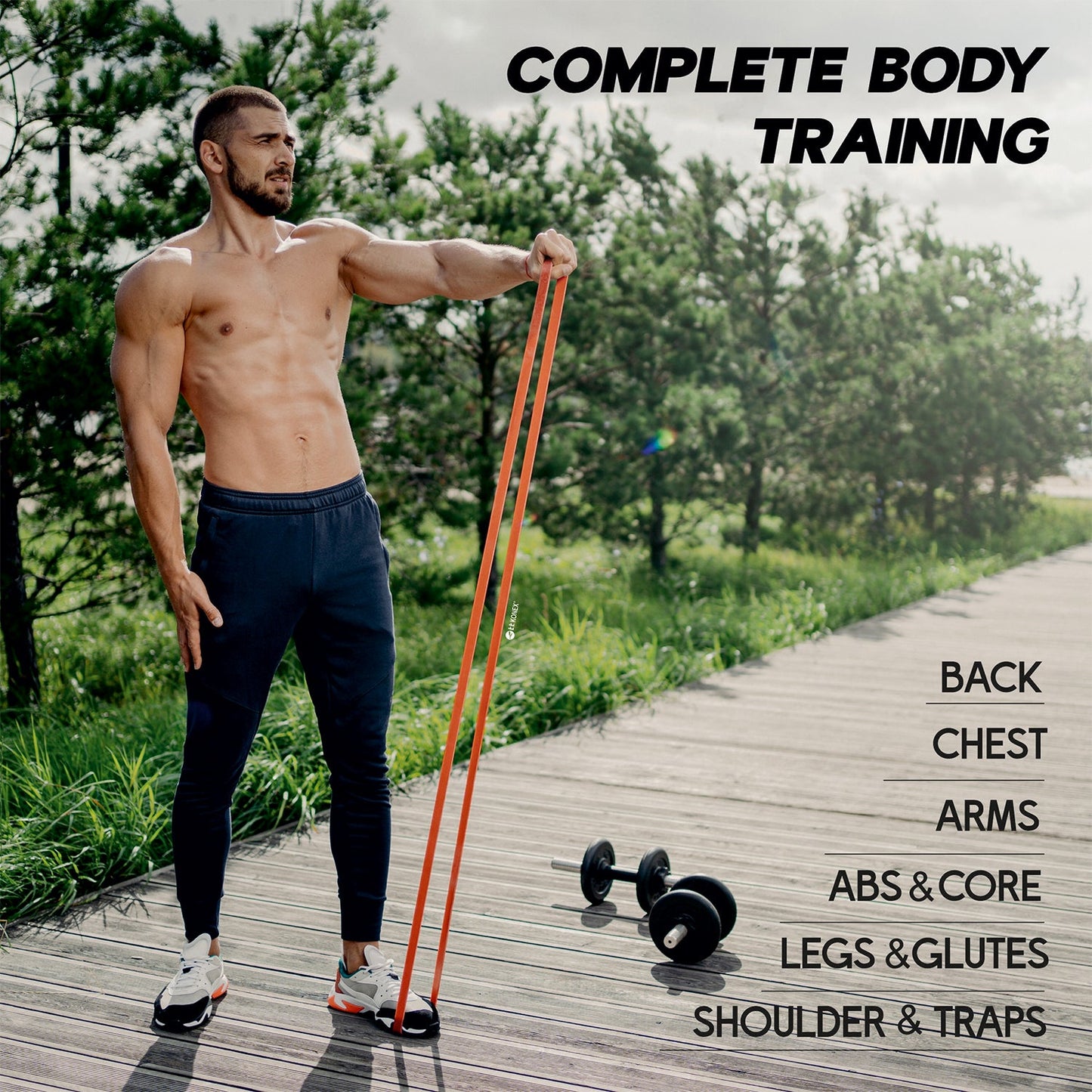 Portable High Sports, - Premium Quality - Best Quality & Value