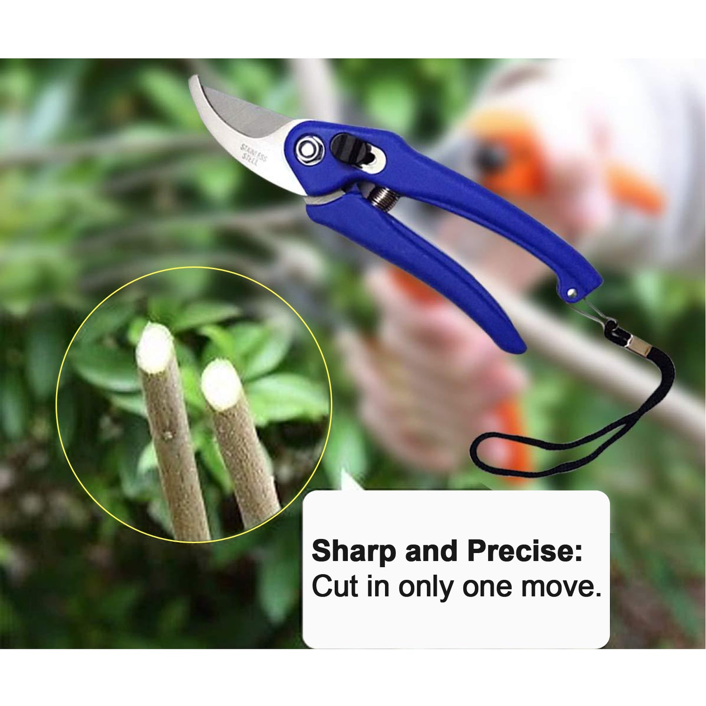 Garden Shears Pruners Scissor For Cutting Branches Flowers Leaves Pruning Seeds - LootFaat