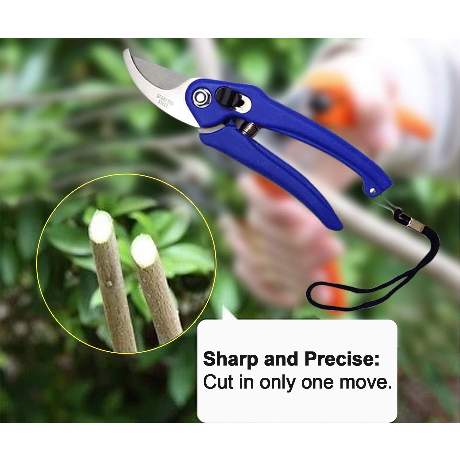 Garden Shears Pruners Scissor For Cutting Branches Flowers Leaves Pruning Seeds - LootFaat