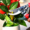 21cm Red Garden Shears Sharp Cutter Pruners Scissor Pruner.