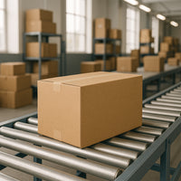 Heavy-duty Brown Box For Product Packing (32x52x30 Cm  1 Pc)