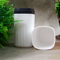 Plastic Hygienic Toothbrush Travel Portable Case - LootFaat