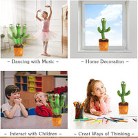 Dancing Cactus Toy - LootFaat