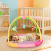 Baby Play Gym & Sleeping Mat with Mosquito Net & Hanging Toys