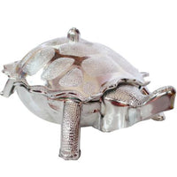 Multipurpose Tortoise Shape Dry Fruit Gift Box - LootFaat