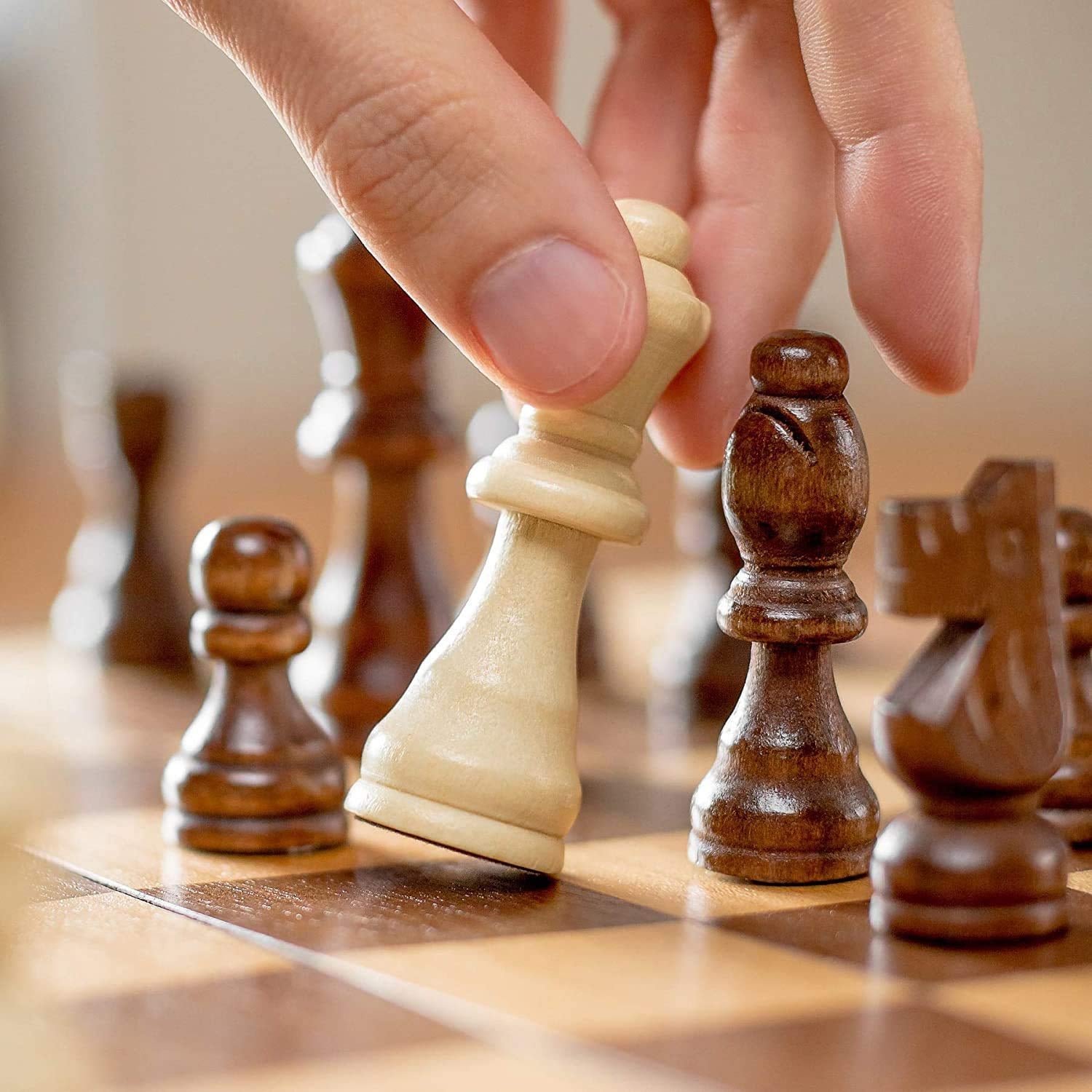 Foldable Wooden Chess Board Set (30  30 Cm  1 Set) - LootFaat